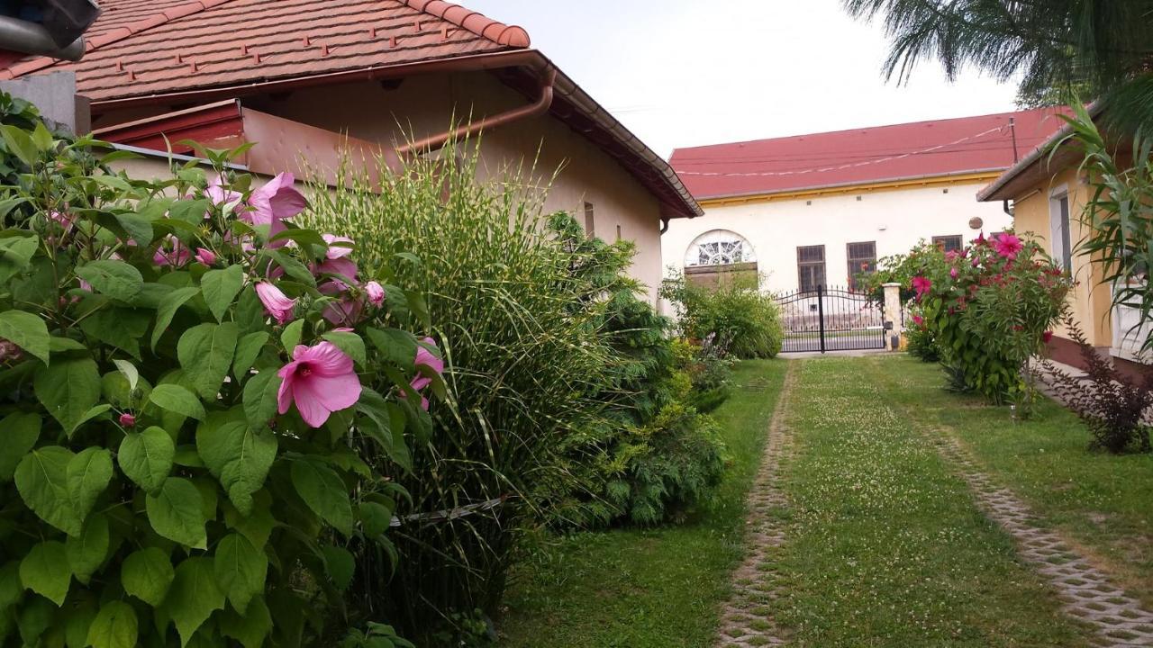 Eliza Vendeghaz Apartment Hajduszoboszlo Exterior photo